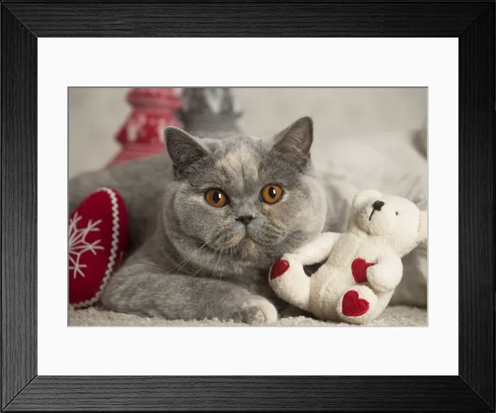 Framed Print : Picture No. 12009730 Framed Print : Picture No. 12009730