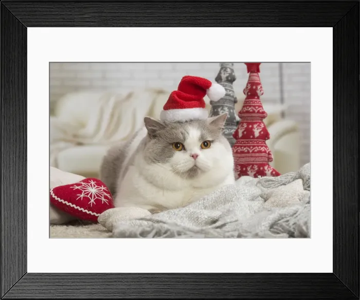 Framed Print : Picture No. 12009736 Framed Print : Picture No. 12009736