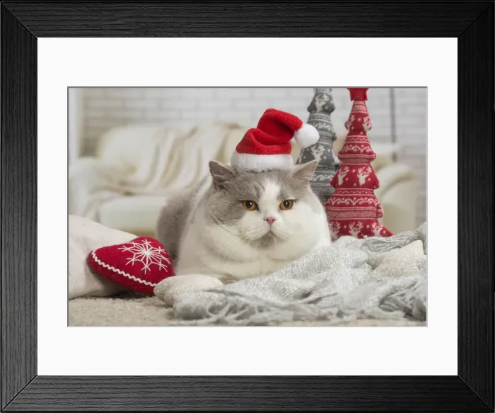 Framed Print : Picture No. 12009737 Framed Print : Picture No. 12009737