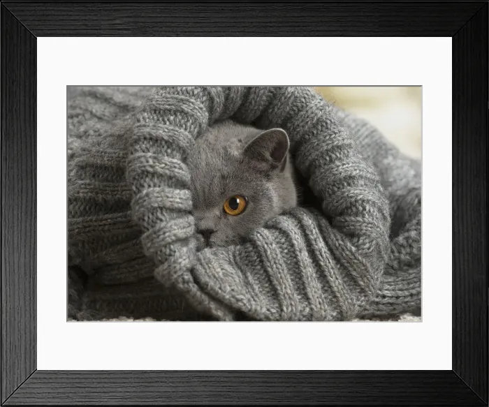 Framed Print : Picture No. 12009740 Framed Print : Picture No. 12009740