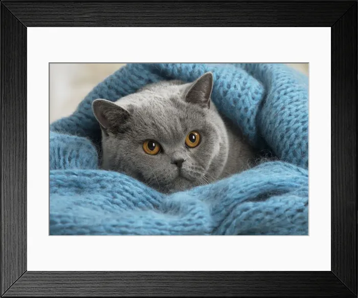 Framed Print : Picture No. 12009742 Framed Print : Picture No. 12009742