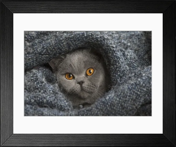 Framed Print : Picture No. 12009747 Framed Print : Picture No. 12009747