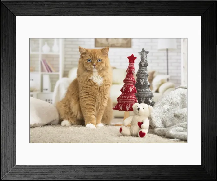 Framed Print : Picture No. 12009766 Framed Print : Picture No. 12009766