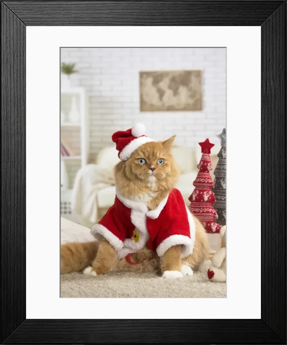 Framed Print : Picture No. 12009767 Framed Print : Picture No. 12009767