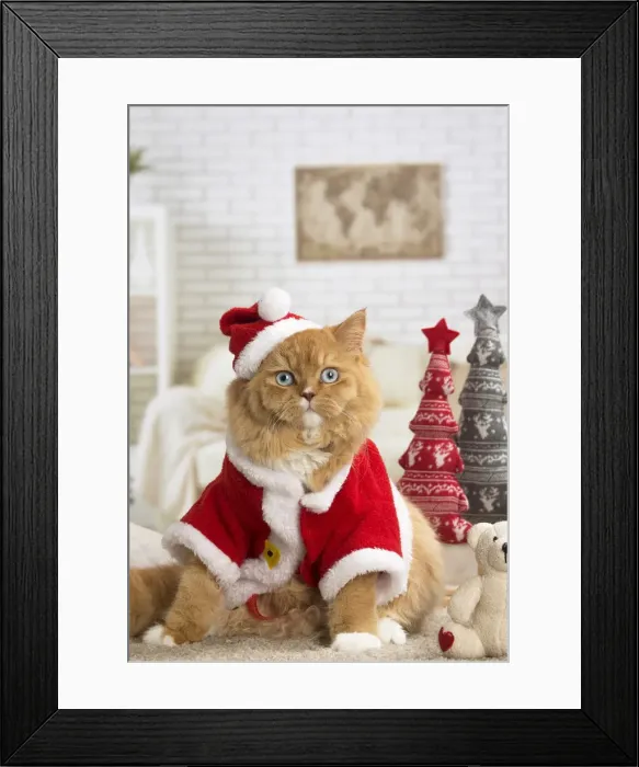 Framed Print : Picture No. 12009768 Framed Print : Picture No. 12009768