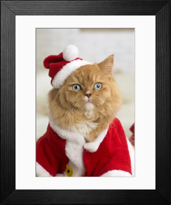 Framed Print : Picture No. 12009769 Framed Print : Picture No. 12009769