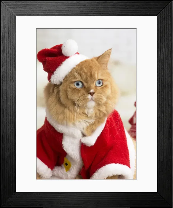 Framed Print : Picture No. 12009770 Framed Print : Picture No. 12009770