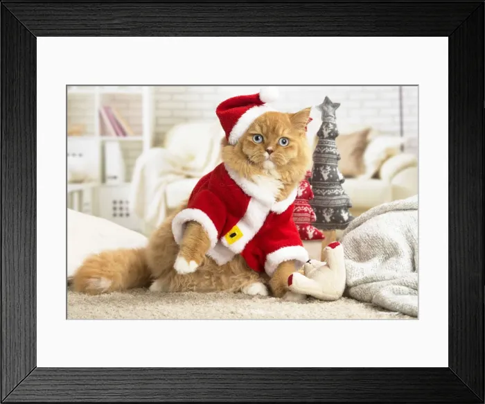 Framed Print : Picture No. 12009771 Framed Print : Picture No. 12009771