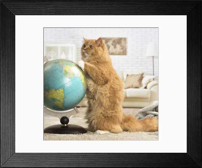 Framed Print : Picture No. 12009773 Framed Print : Picture No. 12009773