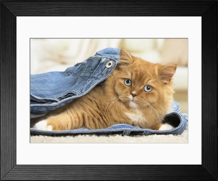 Framed Print : Picture No. 12009780 Framed Print : Picture No. 12009780