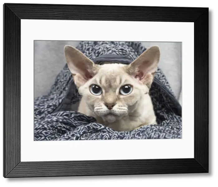 Framed Print : Picture No. 12009869 Framed Print : Picture No. 12009869