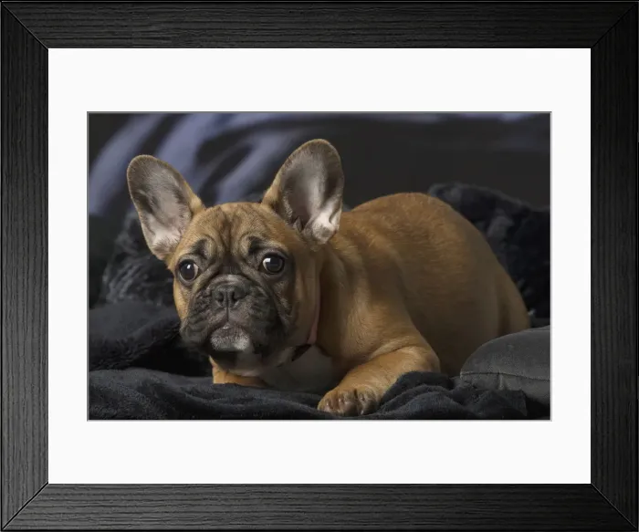 Framed Print : Picture No. 12009871 Framed Print : Picture No. 12009871