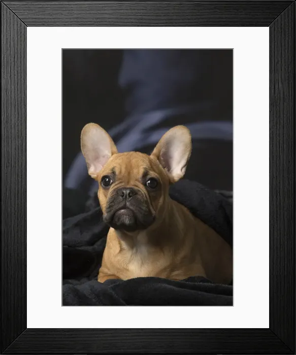 Framed Print : Picture No. 12009872 Framed Print : Picture No. 12009872