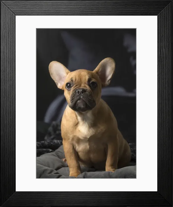 Framed Print : Picture No. 12009875 Framed Print : Picture No. 12009875