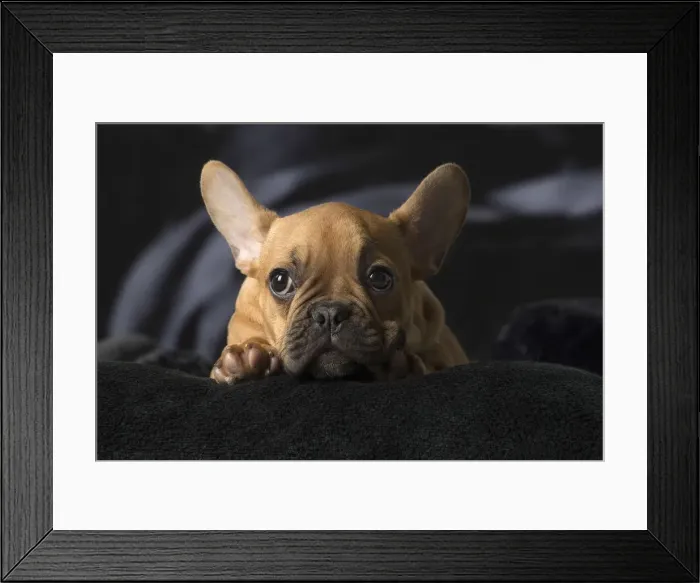 Framed Print : Picture No. 12009876 Framed Print : Picture No. 12009876
