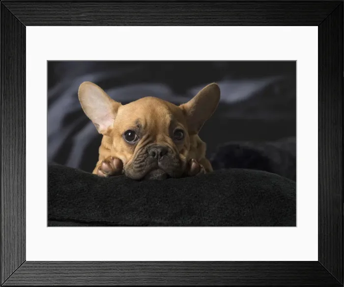 Framed Print : Picture No. 12009877 Framed Print : Picture No. 12009877
