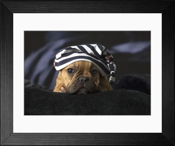 Framed Print : Picture No. 12009879 Framed Print : Picture No. 12009879