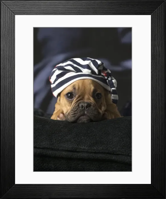 Framed Print : Picture No. 12009880 Framed Print : Picture No. 12009880
