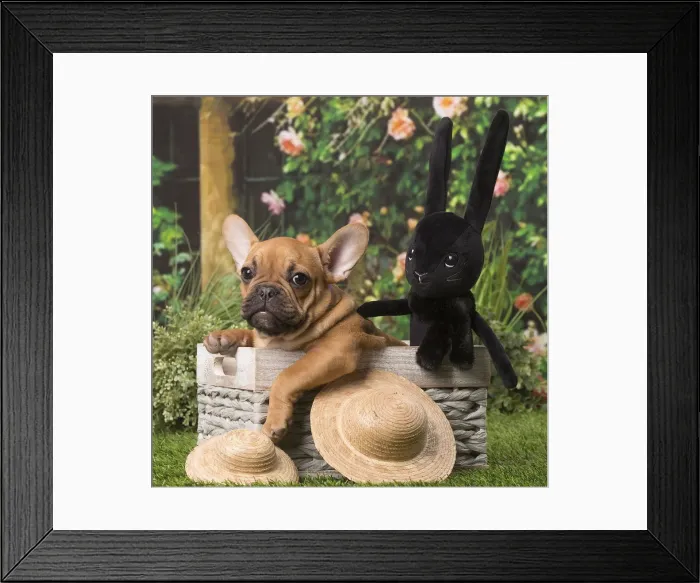 Framed Print : Picture No. 12009888 Framed Print : Picture No. 12009888