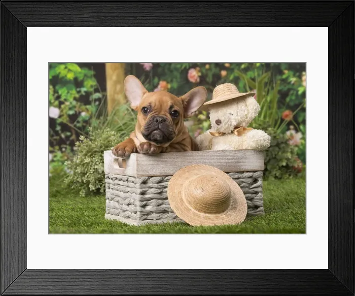 Framed Print : Picture No. 12009889 Framed Print : Picture No. 12009889
