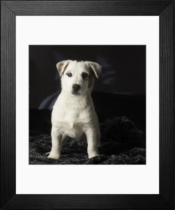 Framed Print : Picture No. 12009892 Framed Print : Picture No. 12009892
