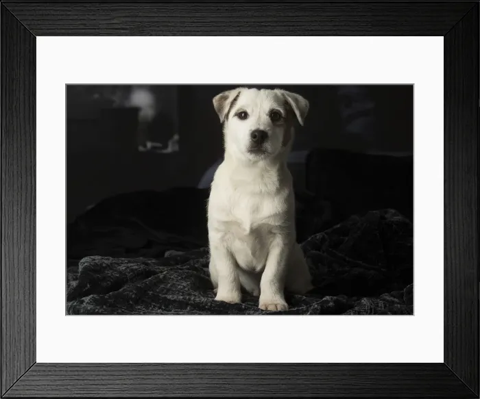 Framed Print : Picture No. 12009894 Framed Print : Picture No. 12009894