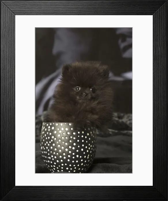 Framed Print : Picture No. 12009908 Framed Print : Picture No. 12009908