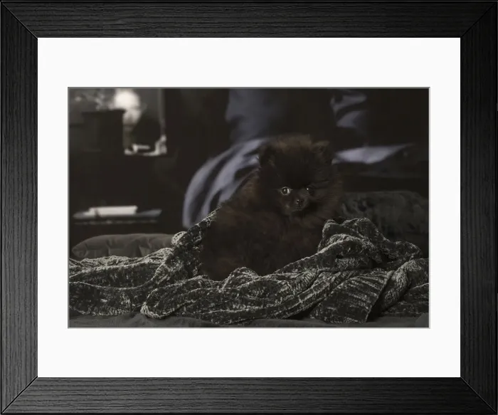 Framed Print : Picture No. 12009910 Framed Print : Picture No. 12009910