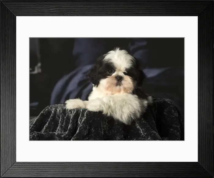 Framed Print : Picture No. 12009916 Framed Print : Picture No. 12009916