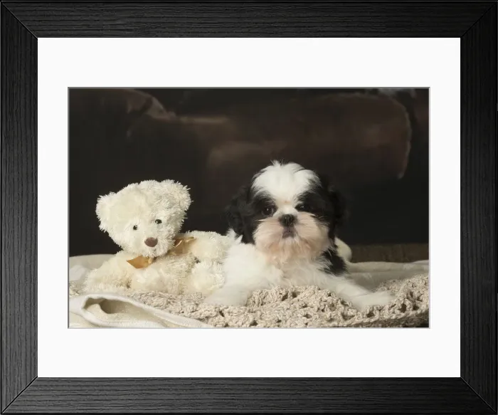 Framed Print : Picture No. 12009919 Framed Print : Picture No. 12009919