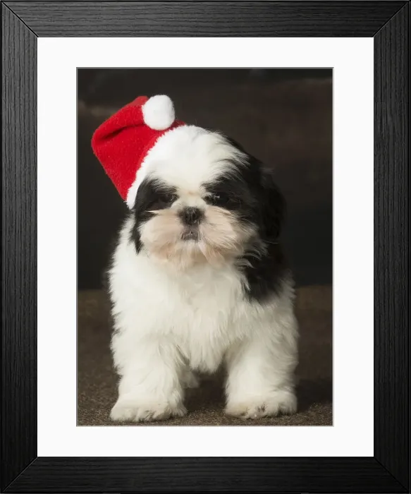 Framed Print : Picture No. 12009928 Framed Print : Picture No. 12009928