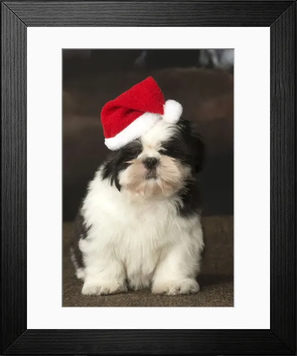 Framed Print : Picture No. 12009929 Framed Print : Picture No. 12009929