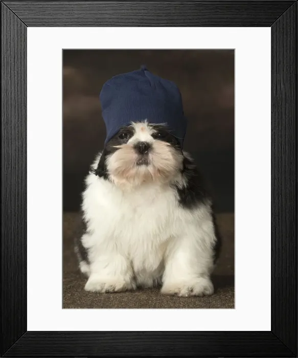 Framed Print : Picture No. 12009930 Framed Print : Picture No. 12009930