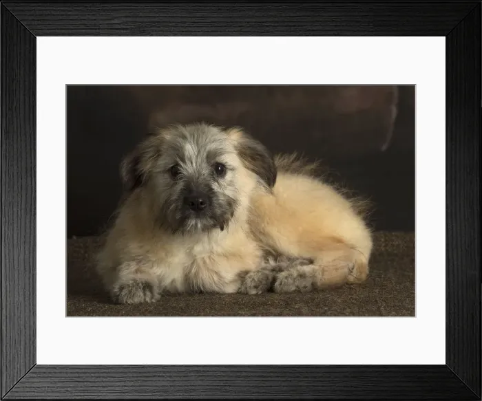 Framed Print : Picture No. 12009936 Framed Print : Picture No. 12009936