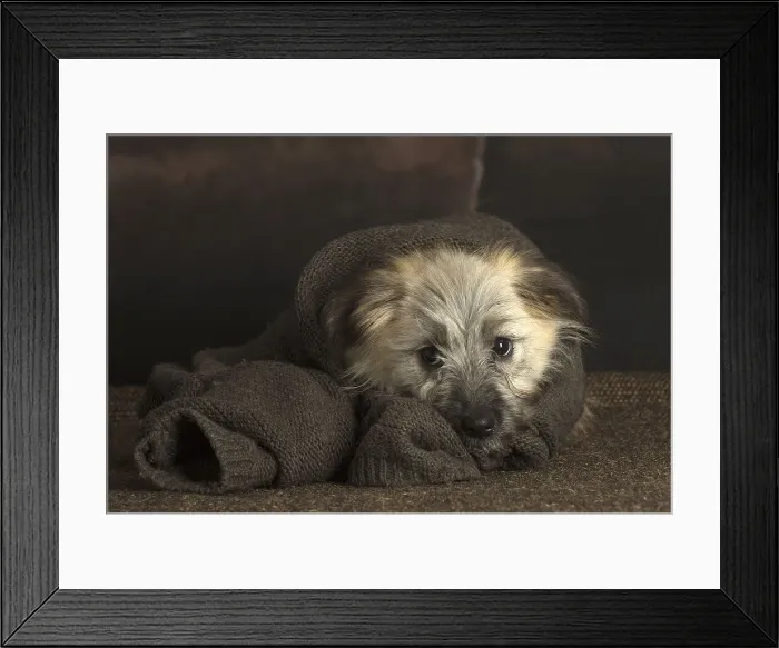 Framed Print : Picture No. 12009938 Framed Print : Picture No. 12009938