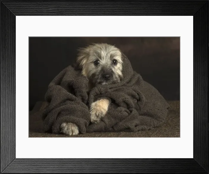 Framed Print : Picture No. 12009939 Framed Print : Picture No. 12009939