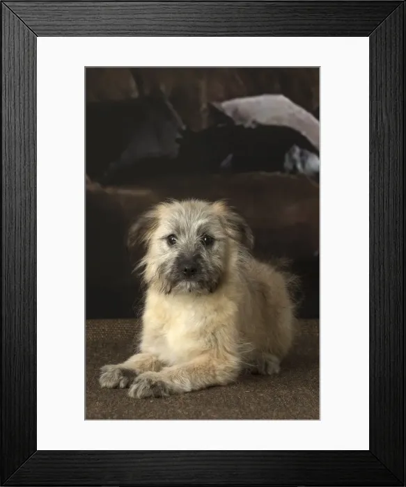 Framed Print : Picture No. 12009940 Framed Print : Picture No. 12009940