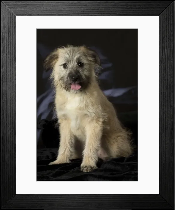 Framed Print : Picture No. 12009941 Framed Print : Picture No. 12009941