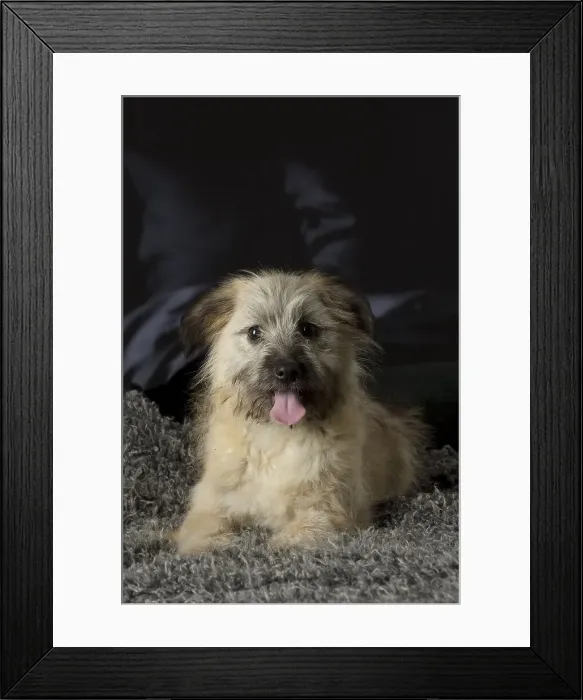 Framed Print : Picture No. 12009942 Framed Print : Picture No. 12009942
