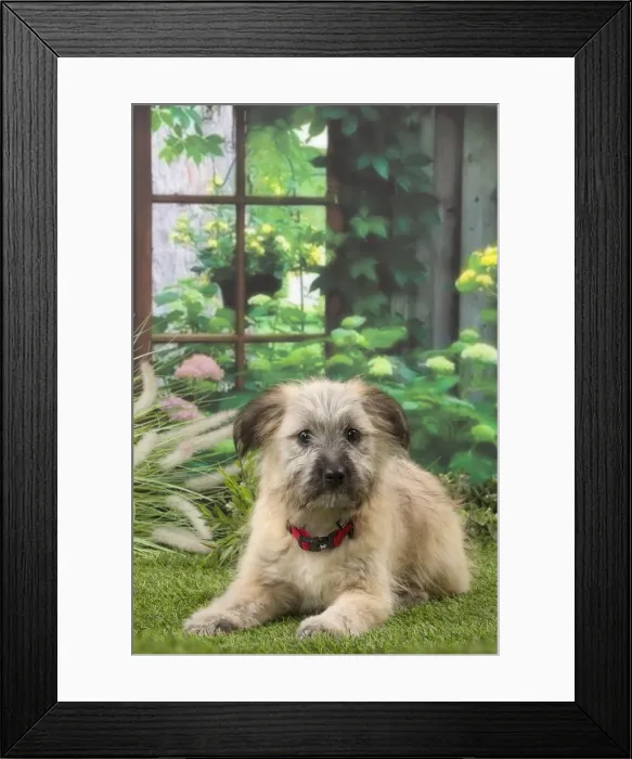 Framed Print : Picture No. 12009943 Framed Print : Picture No. 12009943