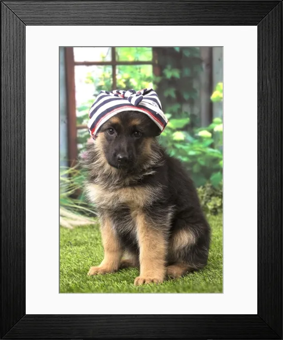 Framed Print : Picture No. 12009956 Framed Print : Picture No. 12009956