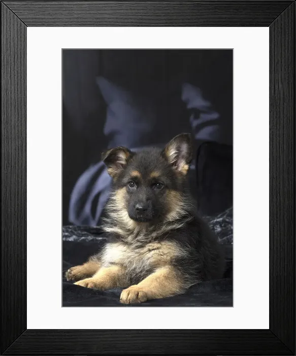 Framed Print : Picture No. 12009957 Framed Print : Picture No. 12009957