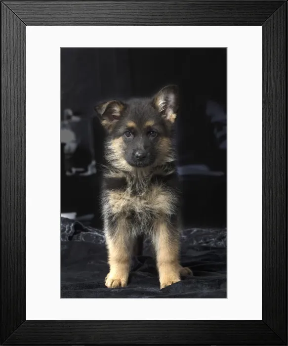 Framed Print : Picture No. 12009958 Framed Print : Picture No. 12009958