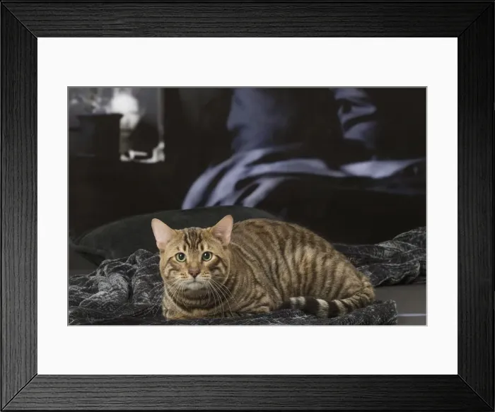 Framed Print : Picture No. 12010017 Framed Print : Picture No. 12010017