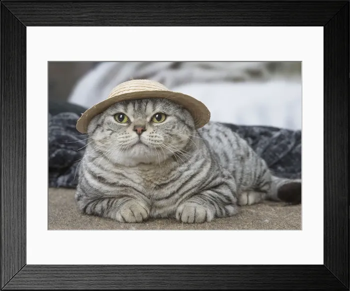 Framed Print : Picture No. 12010057 Framed Print : Picture No. 12010057