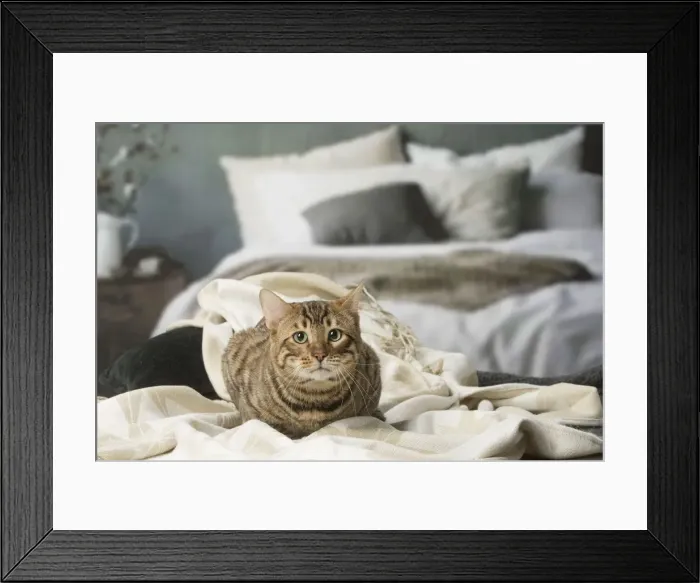 Framed Print : Picture No. 12010079 Framed Print : Picture No. 12010079