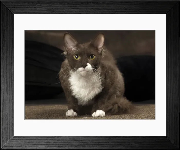 Framed Print : Picture No. 12010095 Framed Print : Picture No. 12010095