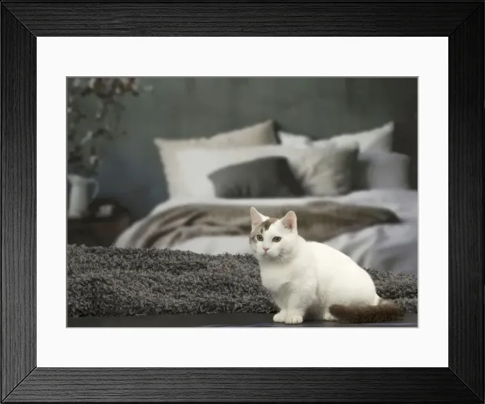 Framed Print : Picture No. 12010103 Framed Print : Picture No. 12010103