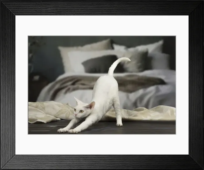 Framed Print : Picture No. 12010111 Framed Print : Picture No. 12010111