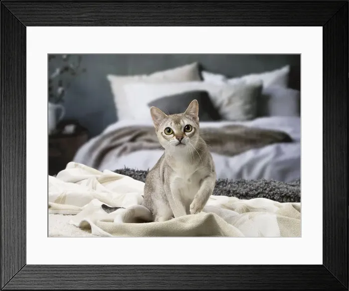 Framed Print : Picture No. 12010134 Framed Print : Picture No. 12010134
